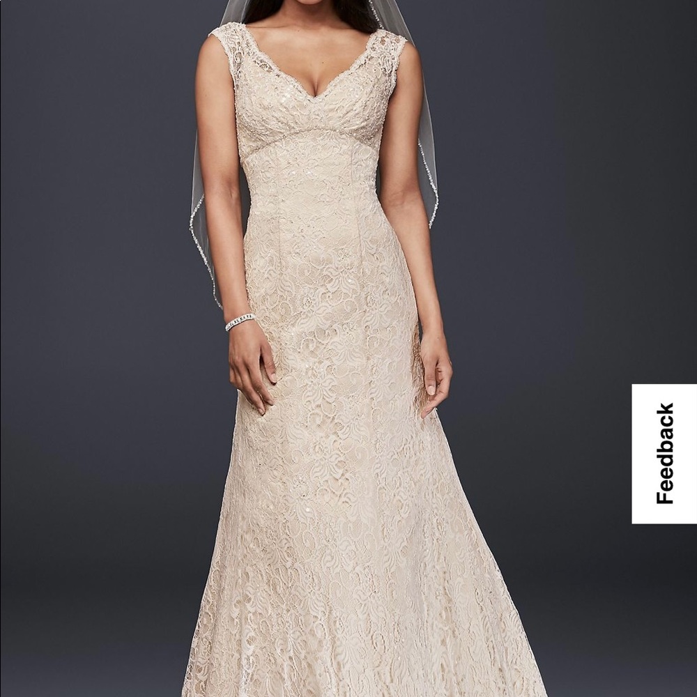 David’s Bridal trumpet wedding gown